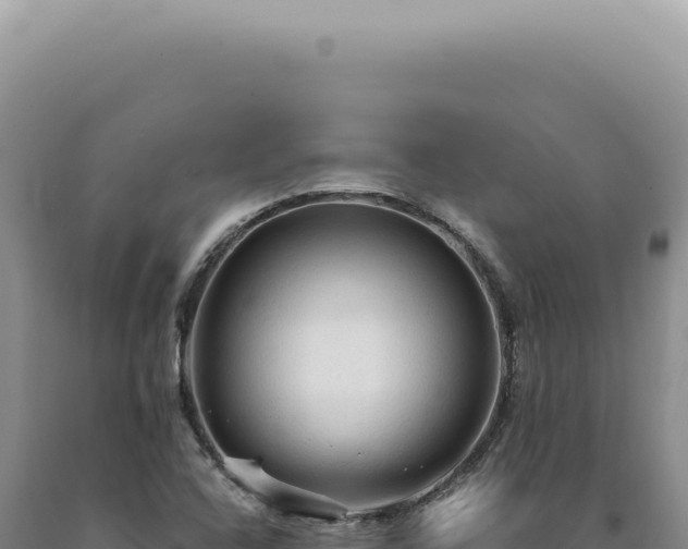 X0000090771408200707271517
