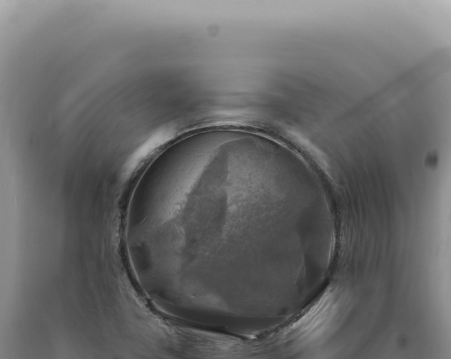 X0000090771411200707271517