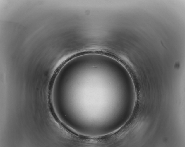 X0000090771412200707271517