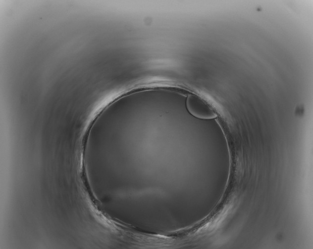 X0000090771413200707271517