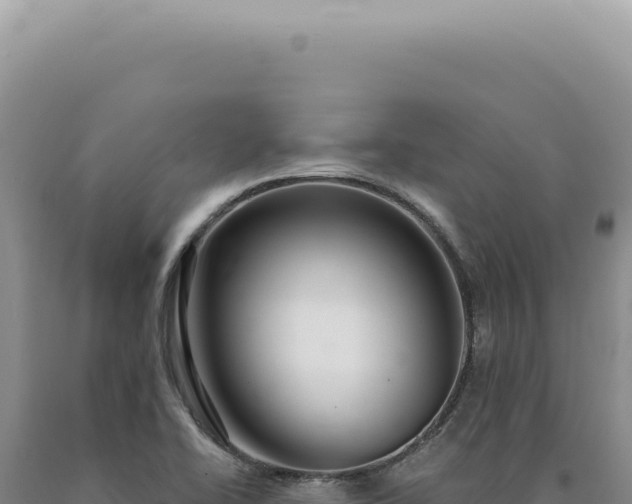 X0000090771414200707271517