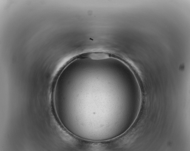 X0000090771416200707271517