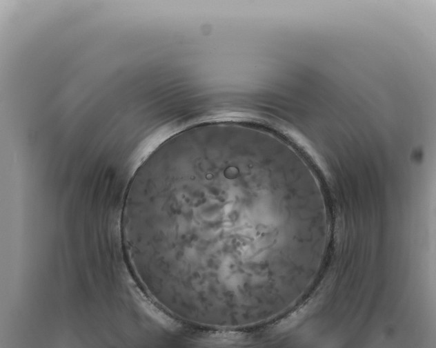 X0000090771417200707271517