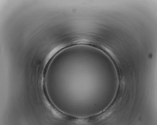 X0000090771418200707271517
