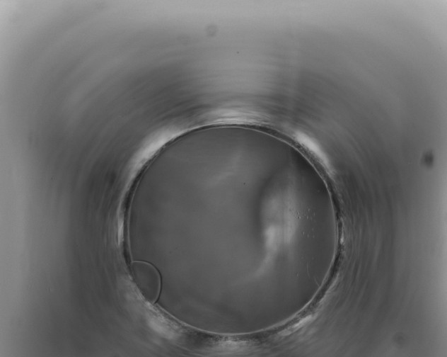 X0000090771419200707271517