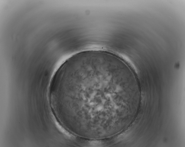 X0000090771421200707271517