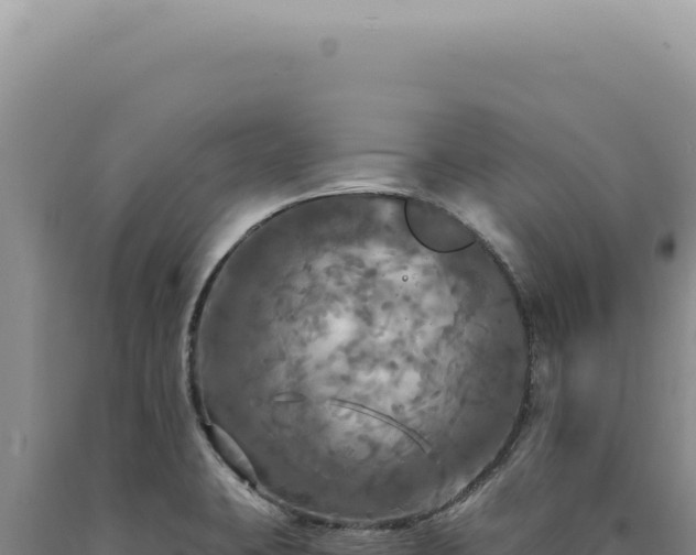 X0000090771423200707271517