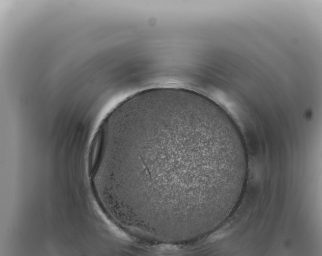 X0000090771424200707271518