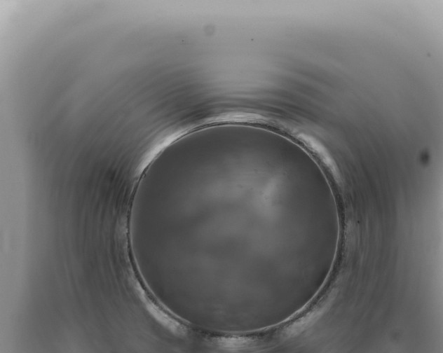 X0000090771425200707271518