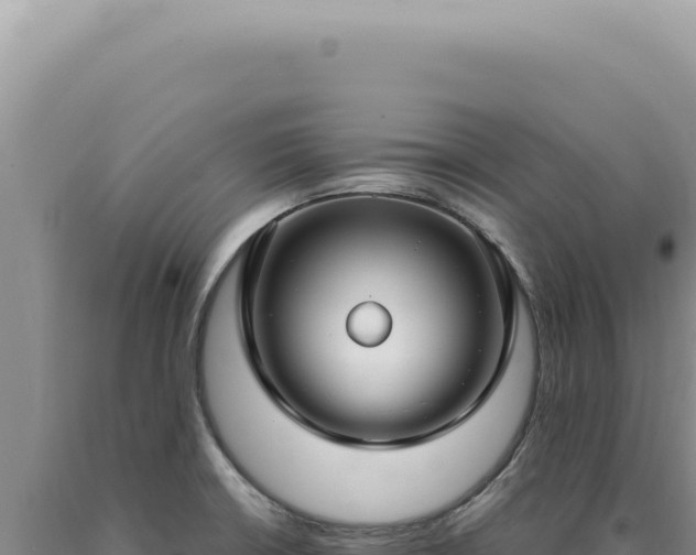 X0000090771426200707271518