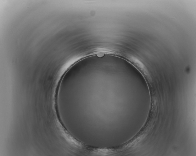 X0000090771427200707271518
