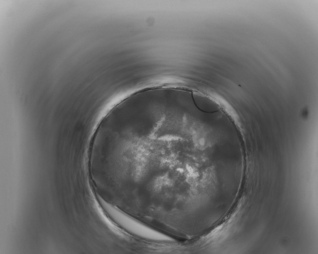 X0000090771429200707271518