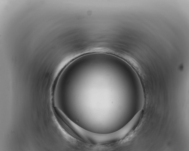 X0000090771430200707271518