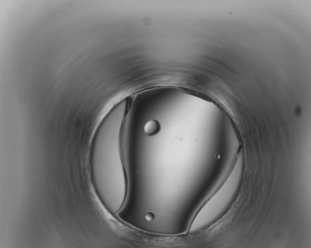X0000090771434200707271518