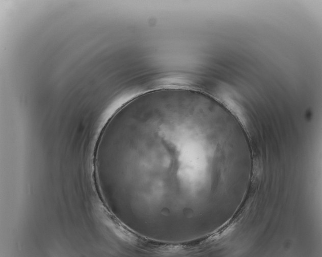 X0000090771435200707271518