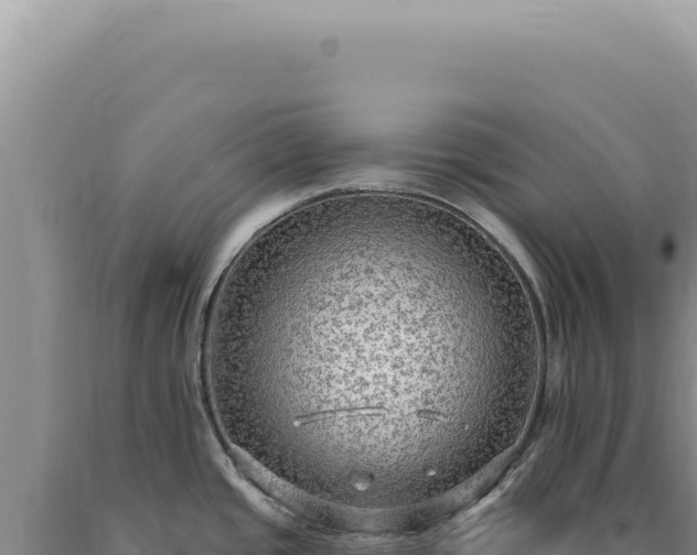 X0000090771437200707271518