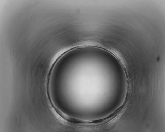 X0000090771438200707271518