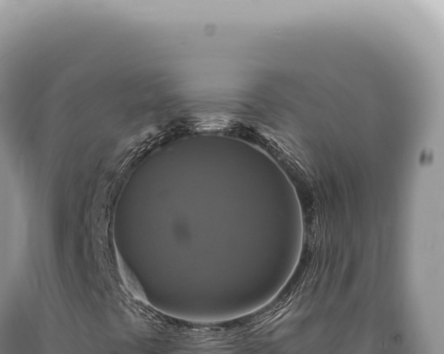 X0000090771441200707271517