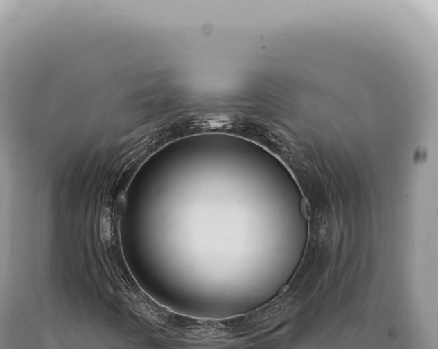 X0000090771442200707271517