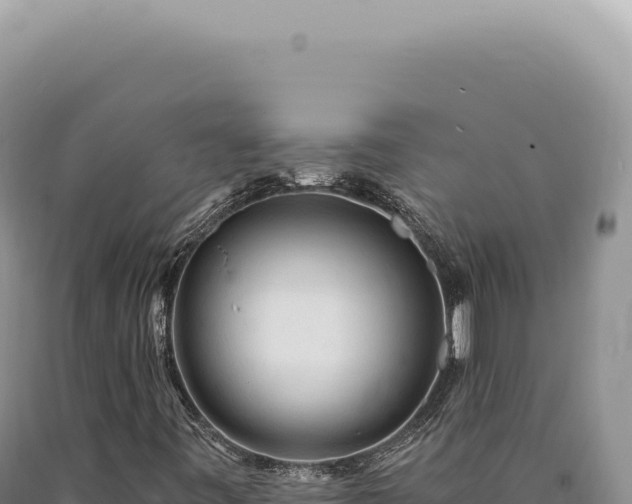 X0000090771443200707271517