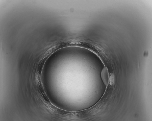 X0000090771444200707271517