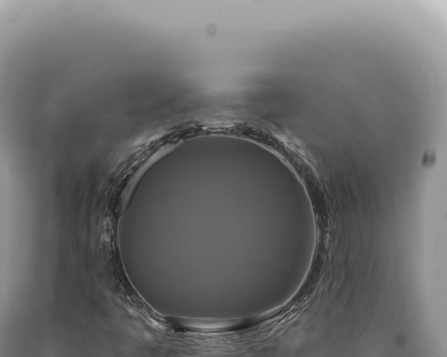 X0000090771445200707271517