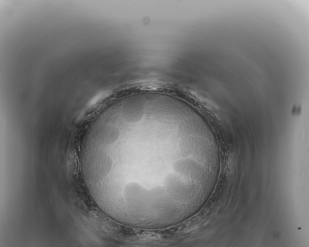 X0000090771446200707271517
