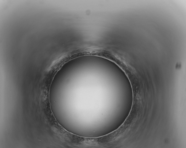 X0000090771447200707271517