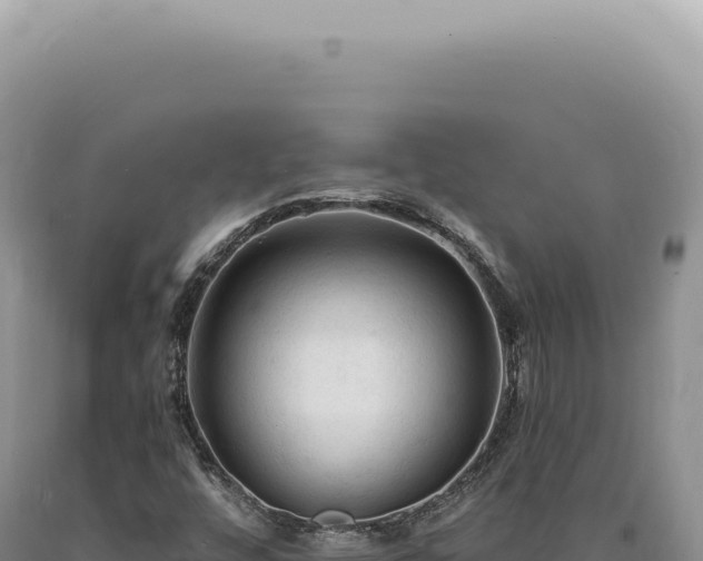 X0000090771448200707271517