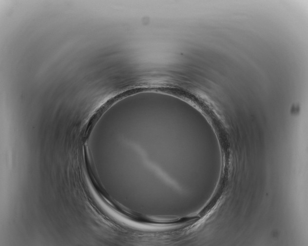 X0000090771449200707271517