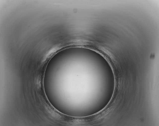 X0000090771451200707271517
