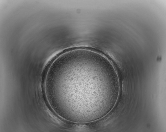 X0000090771452200707271517