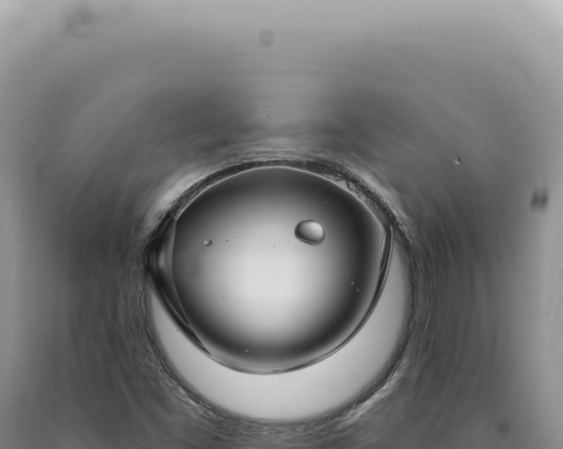 X0000090771453200707271517