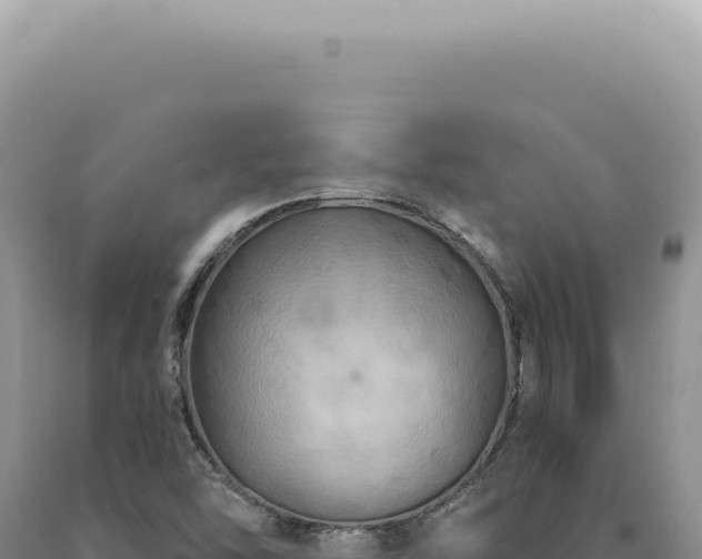 X0000090771454200707271517