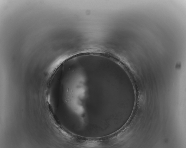 X0000090771455200707271517