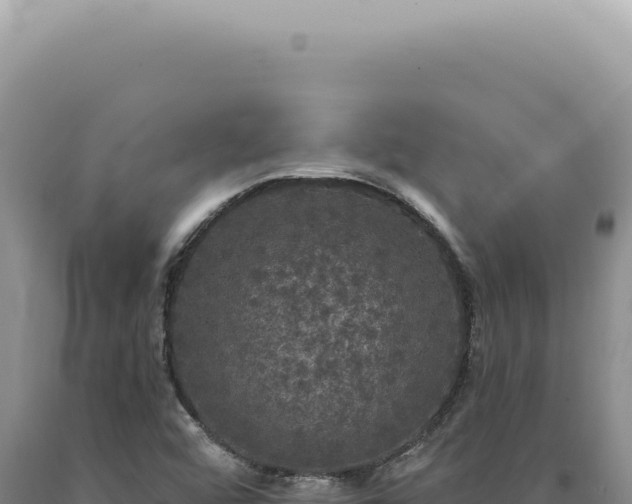 X0000090771456200707271517