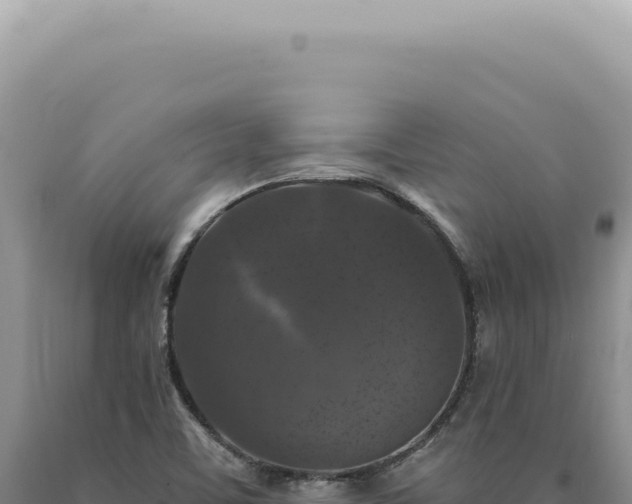 X0000090771459200707271517