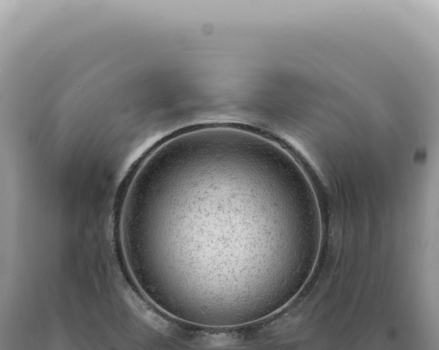X0000090771460200707271517