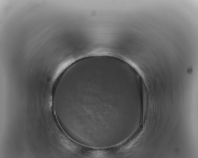 X0000090771461200707271517