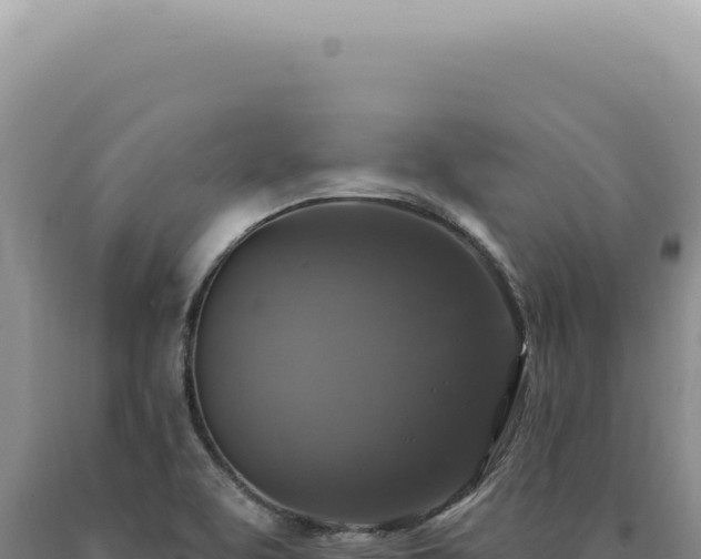 X0000090771463200707271517
