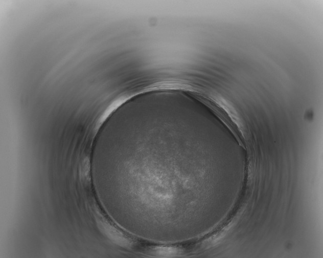 X0000090771465200707271517