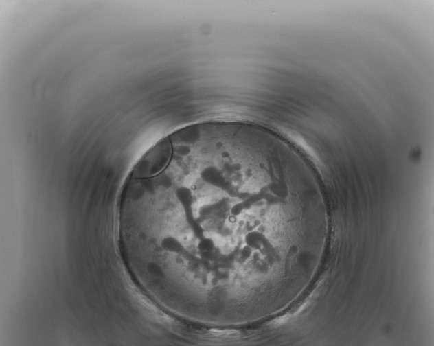 X0000090771467200707271517
