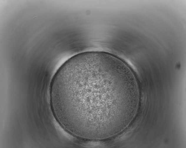 X0000090771468200707271517