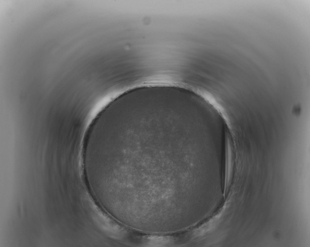 X0000090771469200707271517