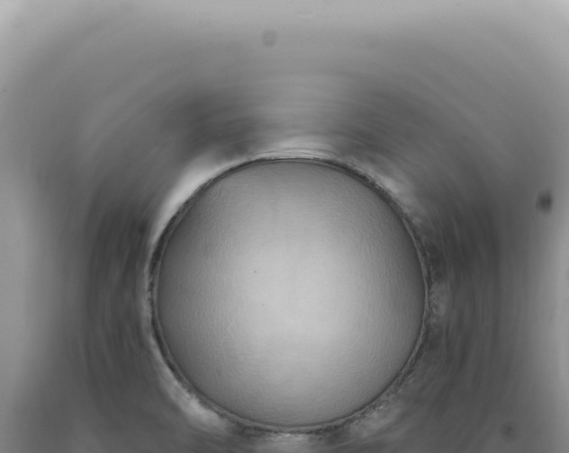 X0000090771470200707271517