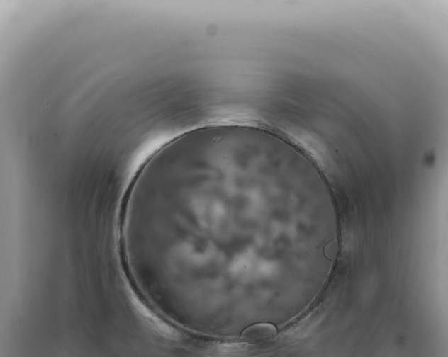 X0000090771471200707271517