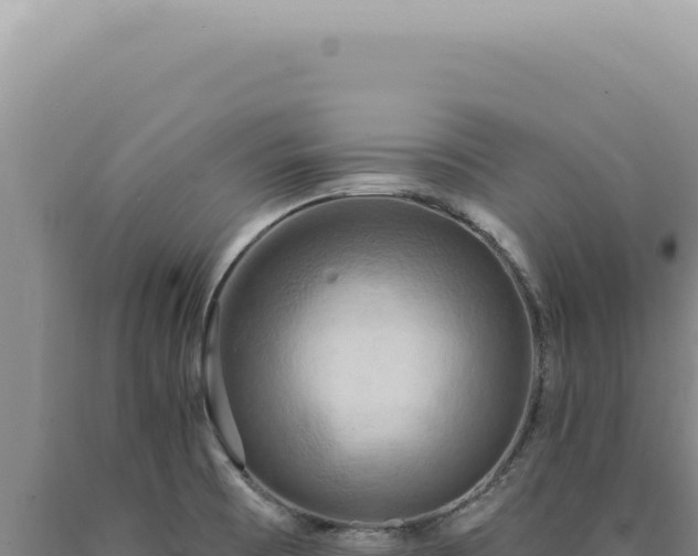 X0000090771473200707271517