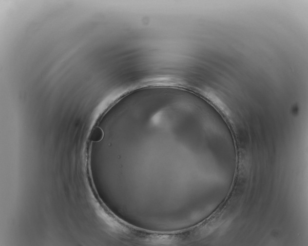X0000090771474200707271517