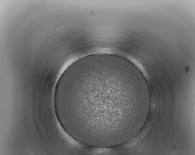 X0000090771475200707271517