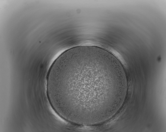 X0000090771476200707271517